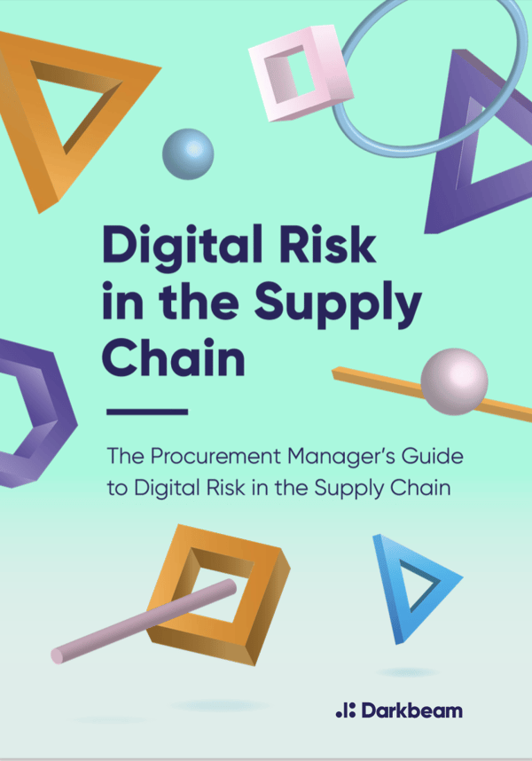 Digital Risk in the Supply Chain ebook image